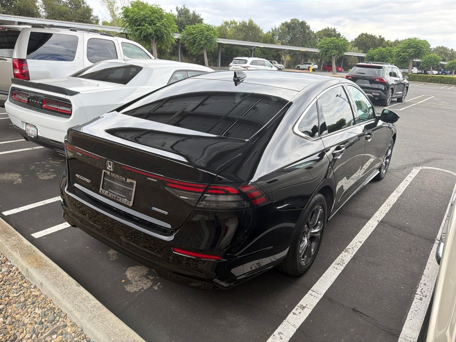 2025 Honda Accord Hybrid EX-L
