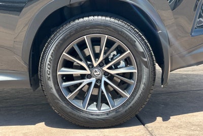 2024 Lexus NX 250 Premium