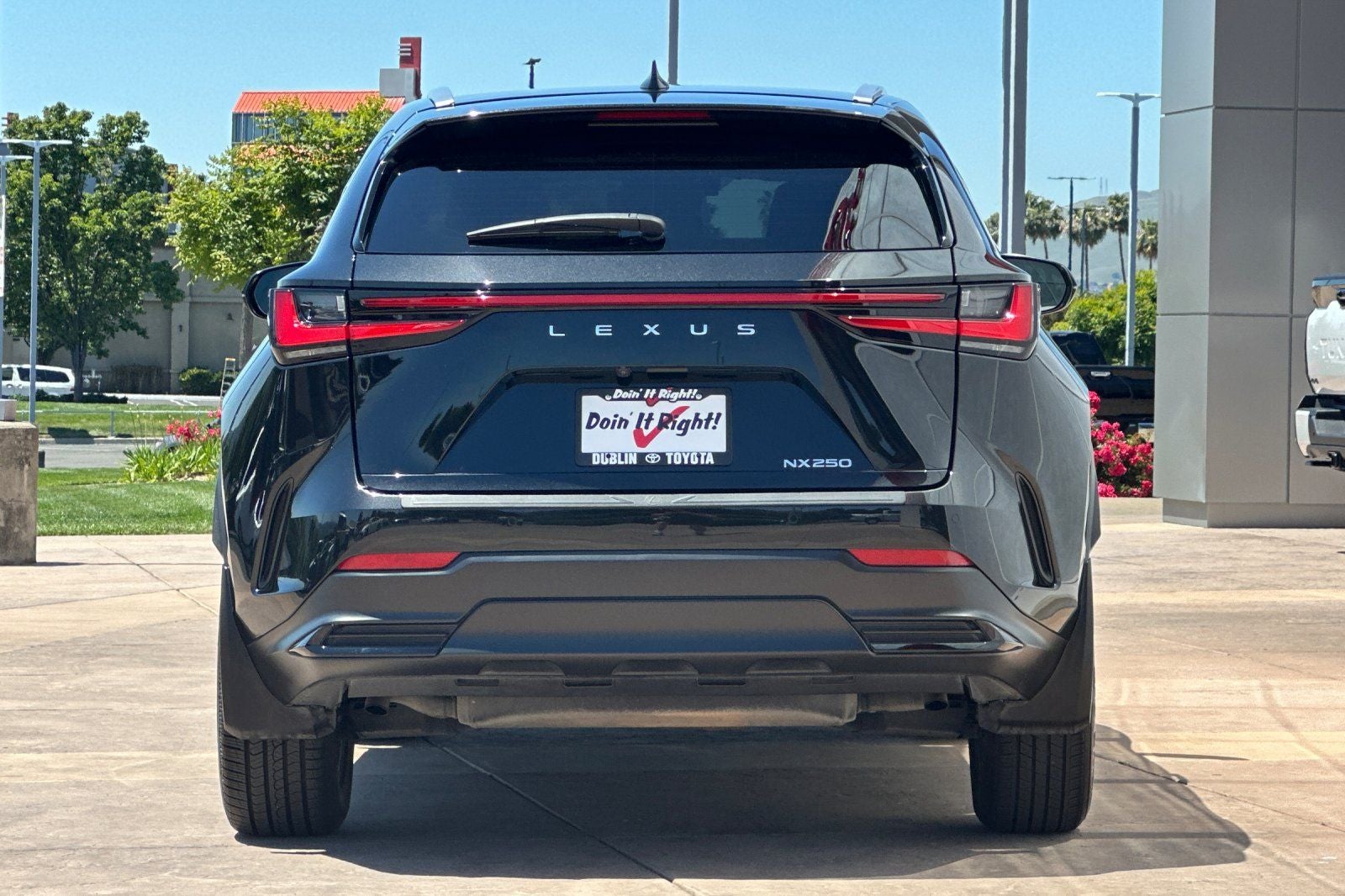 2024 Lexus NX 250 Premium