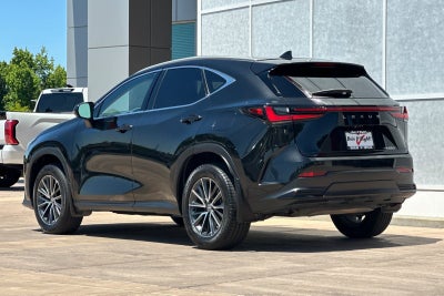 2024 Lexus NX 250 Premium