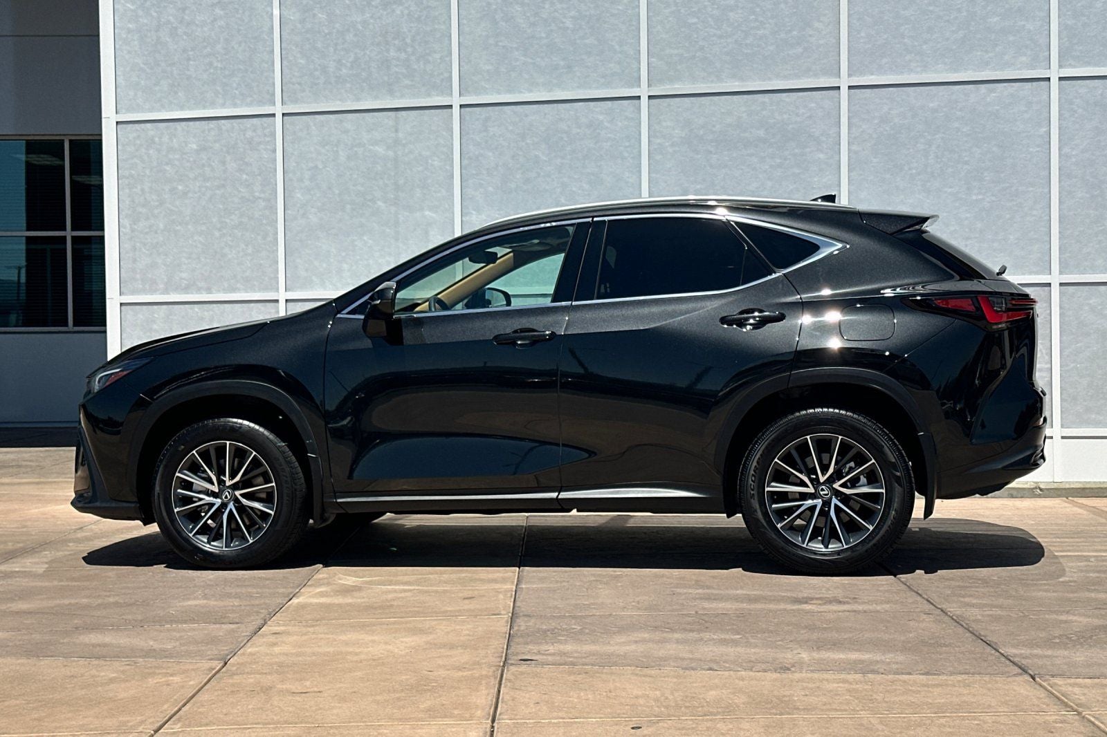 2024 Lexus NX 250 Premium