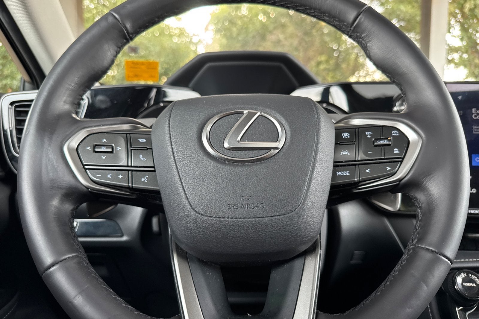 2025 Lexus NX 250 Premium