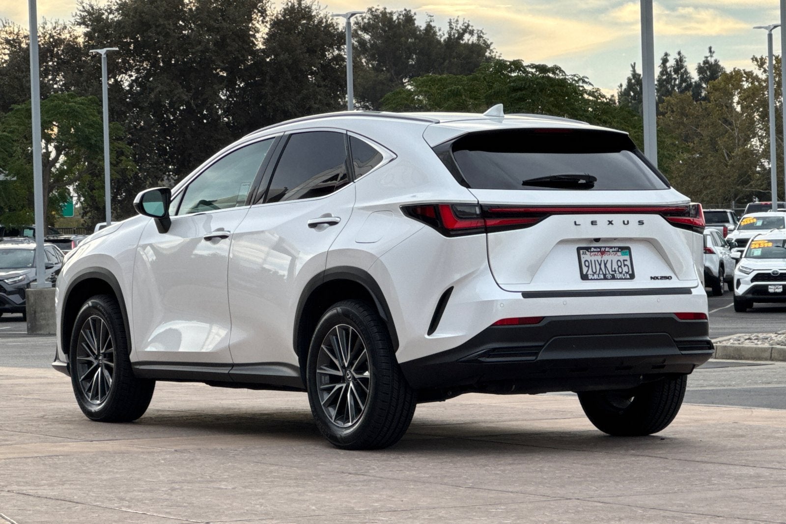 2025 Lexus NX 250 Premium