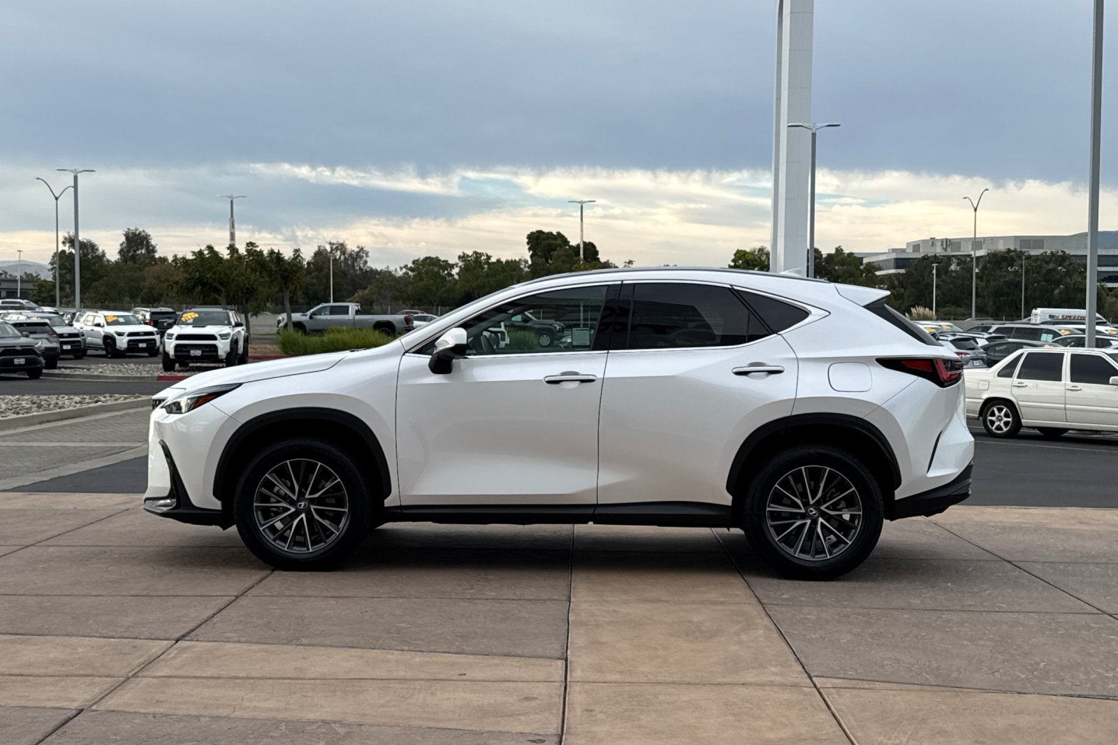 2025 Lexus NX 250 Premium