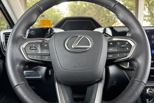 2025 Lexus NX 250 Premium