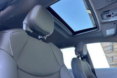 2025 Toyota Sienna XLE 7 Passenger
