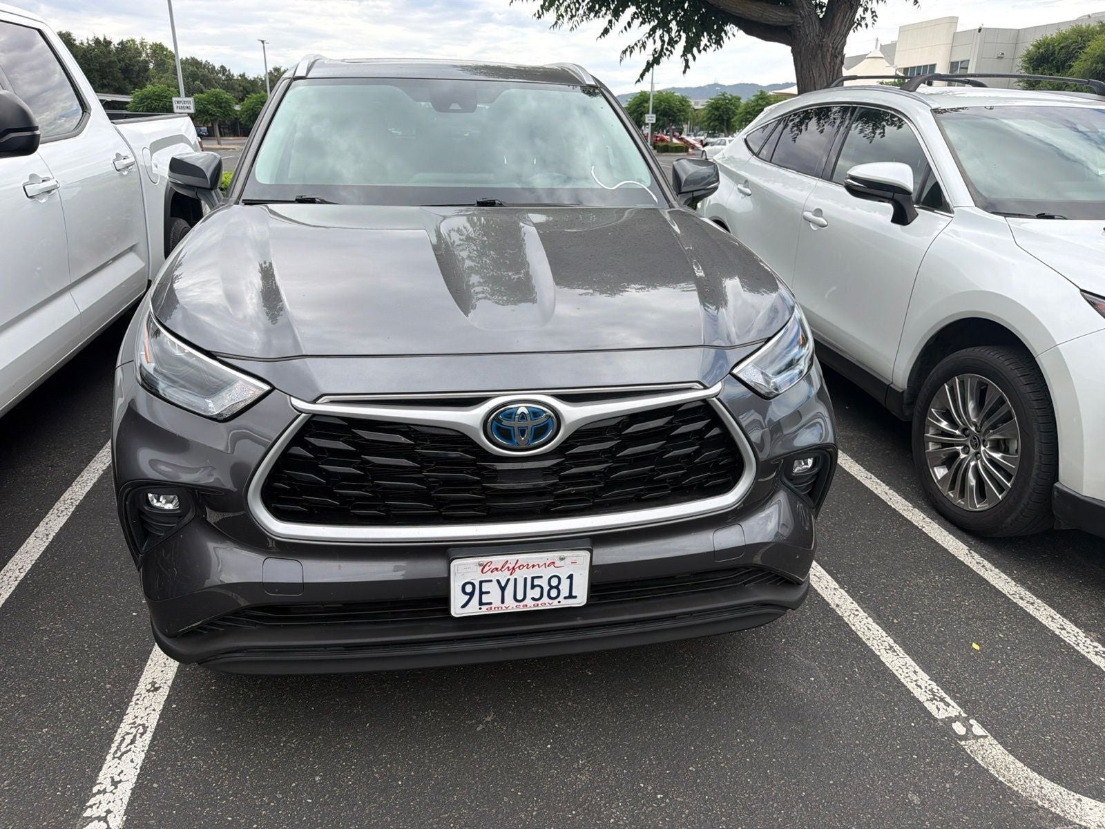 2023 Toyota Highlander Hybrid XLE