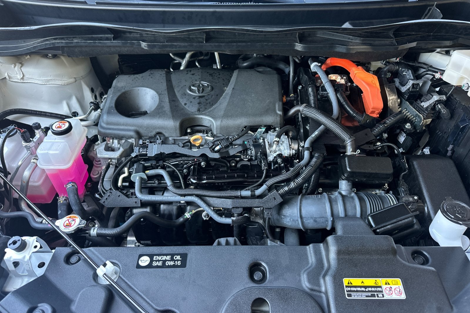 2024 Toyota Sienna LE 8 Passenger