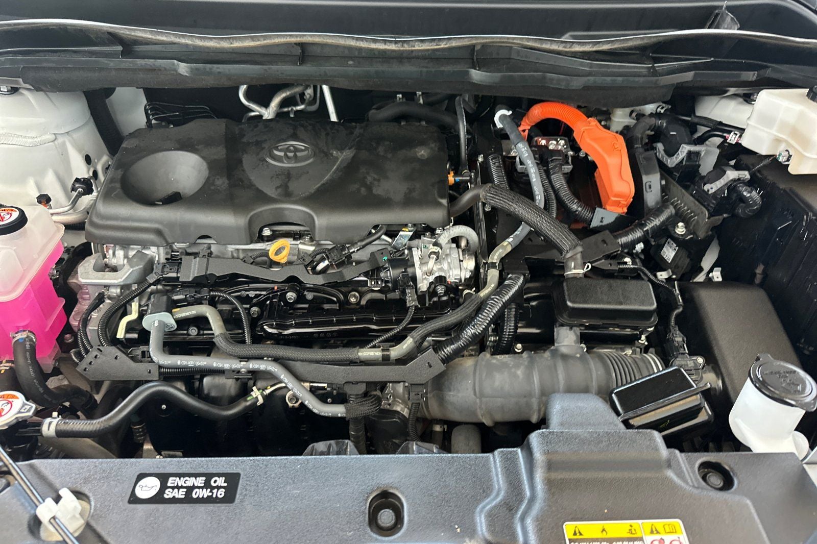 2024 Toyota Sienna LE 8 Passenger