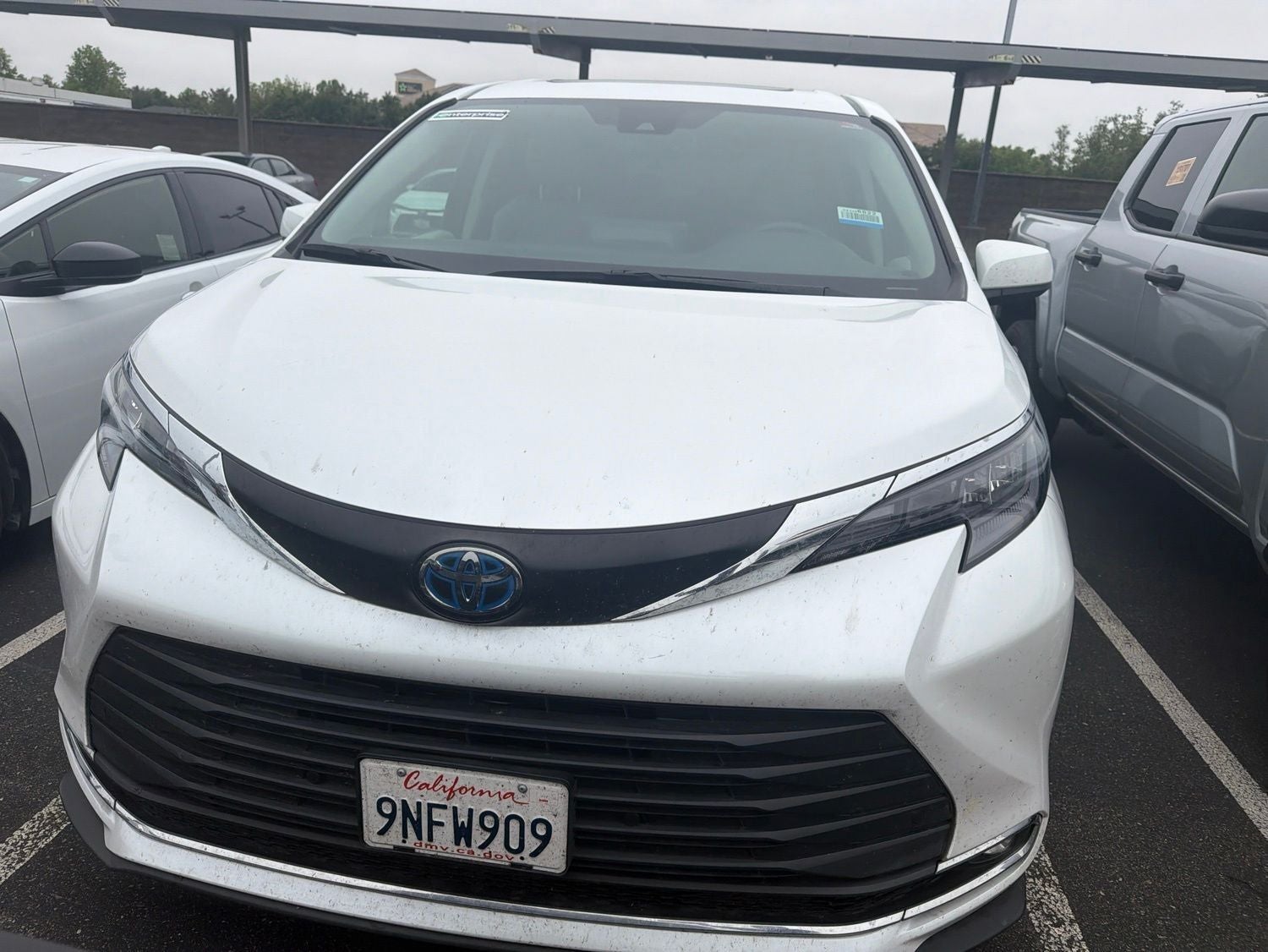 2024 Toyota Sienna XLE 8 Passenger