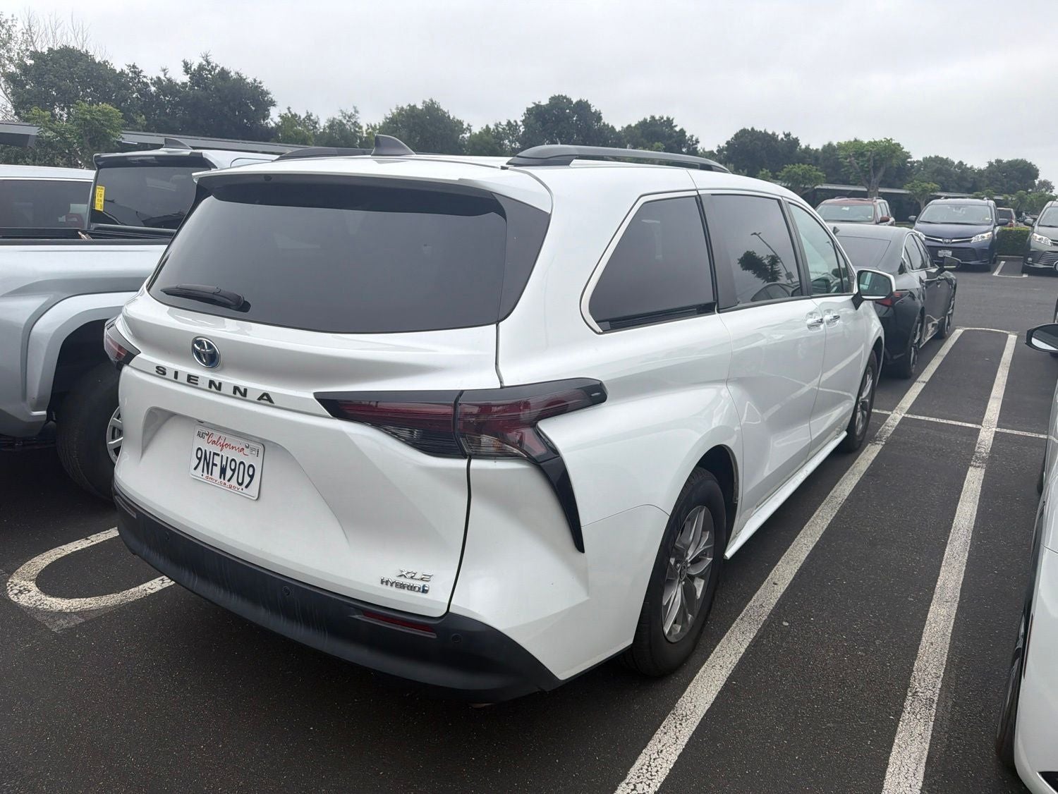 2024 Toyota Sienna XLE 8 Passenger