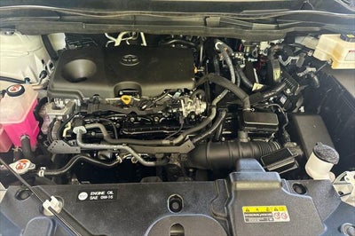 2024 Toyota Sienna XLE 8 Passenger