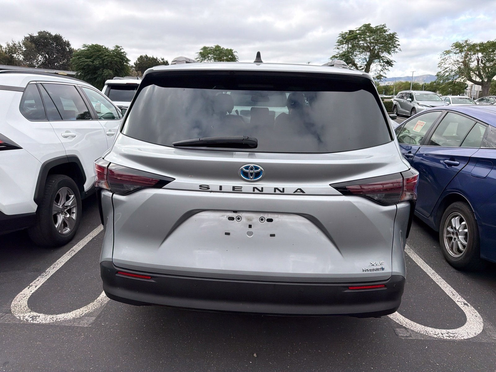2024 Toyota Sienna XLE 8 Passenger