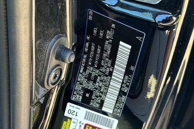 2020 Toyota Sienna XLE 8 Passenger