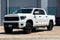 2019 Toyota Tundra TRD Pro