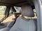 2021 Toyota RAV4 Prime SE