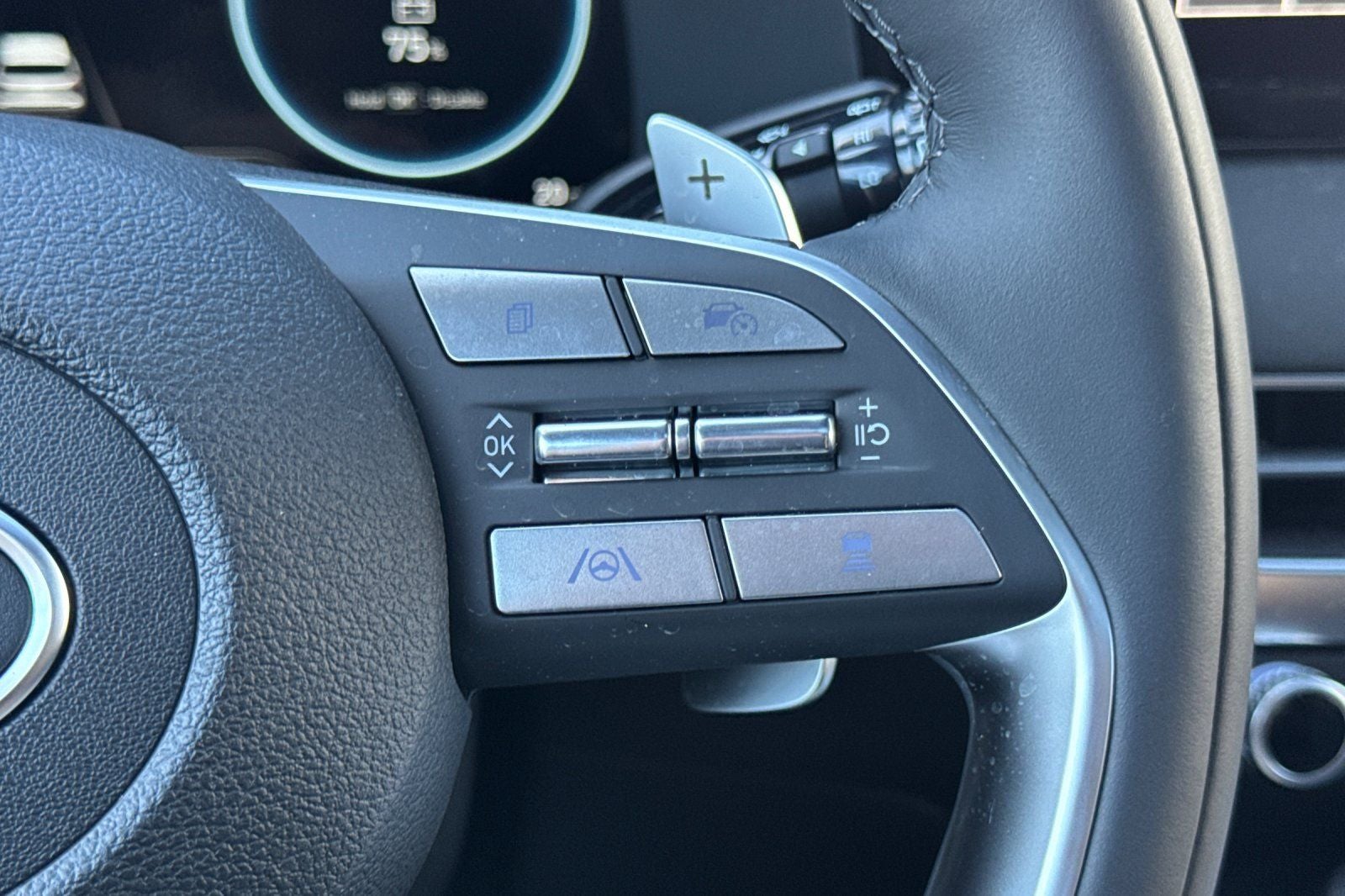 2025 Hyundai Palisade Calligraphy AWD