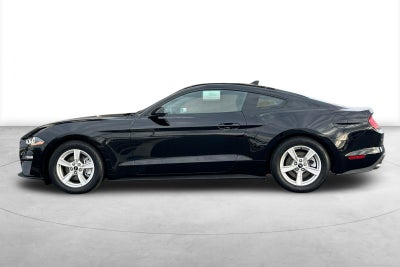 2022 Ford Mustang EcoBoost