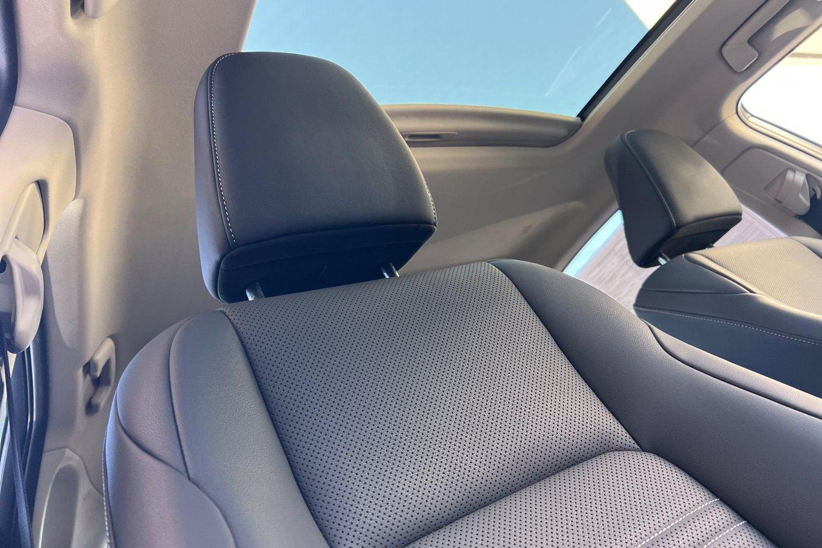 2020 Lexus NX 300h Premium Package