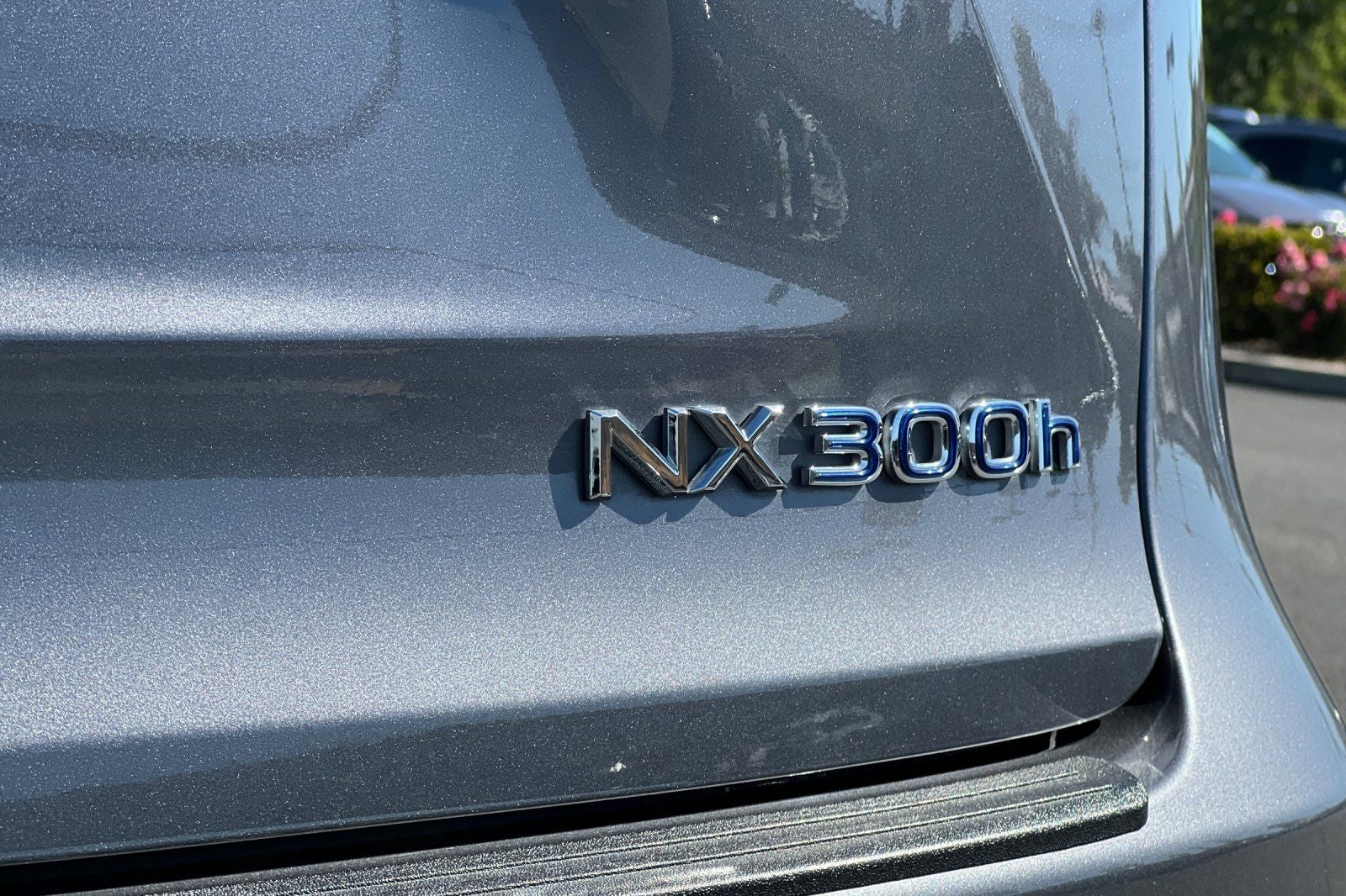 2020 Lexus NX 300h Premium Package